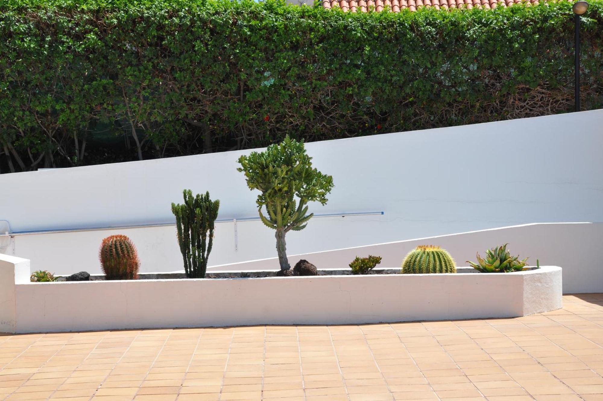 Serenity Garden Maspalomas  Exterior foto