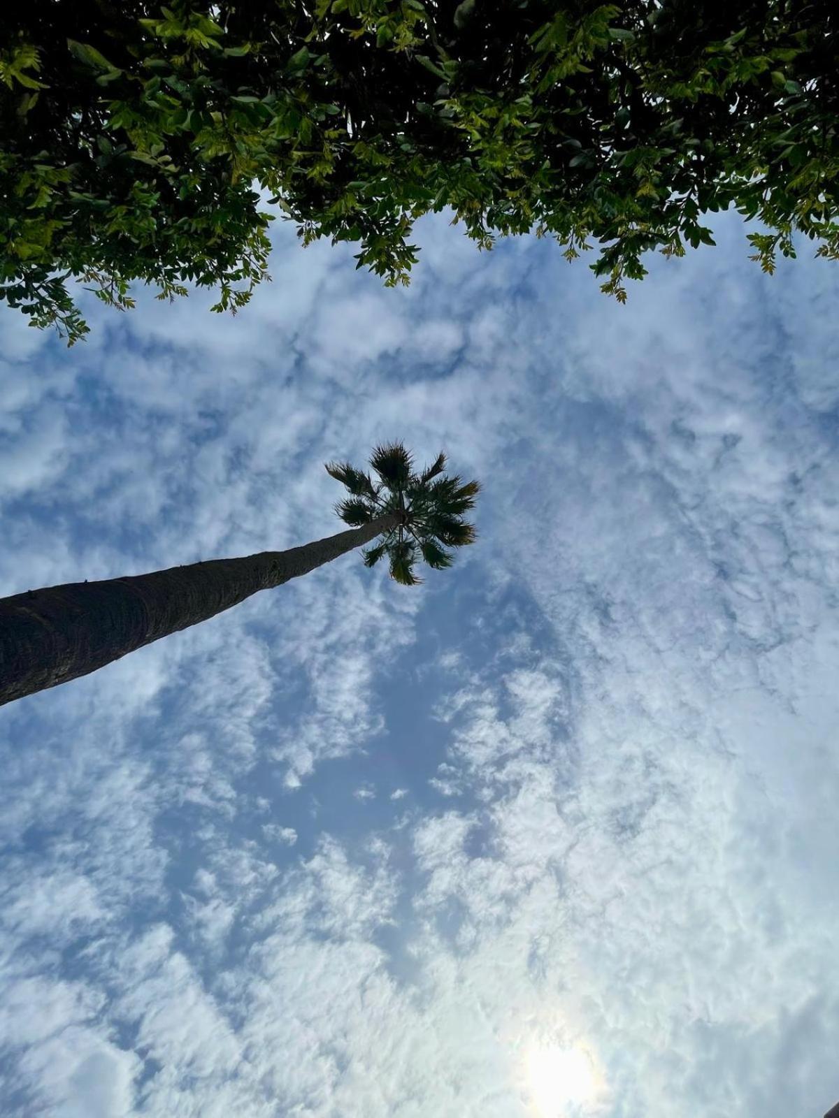 Serenity Garden Maspalomas  Exterior foto
